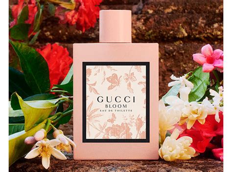 gucci bloom perfume copy|Gucci Bloom perfume knock off.